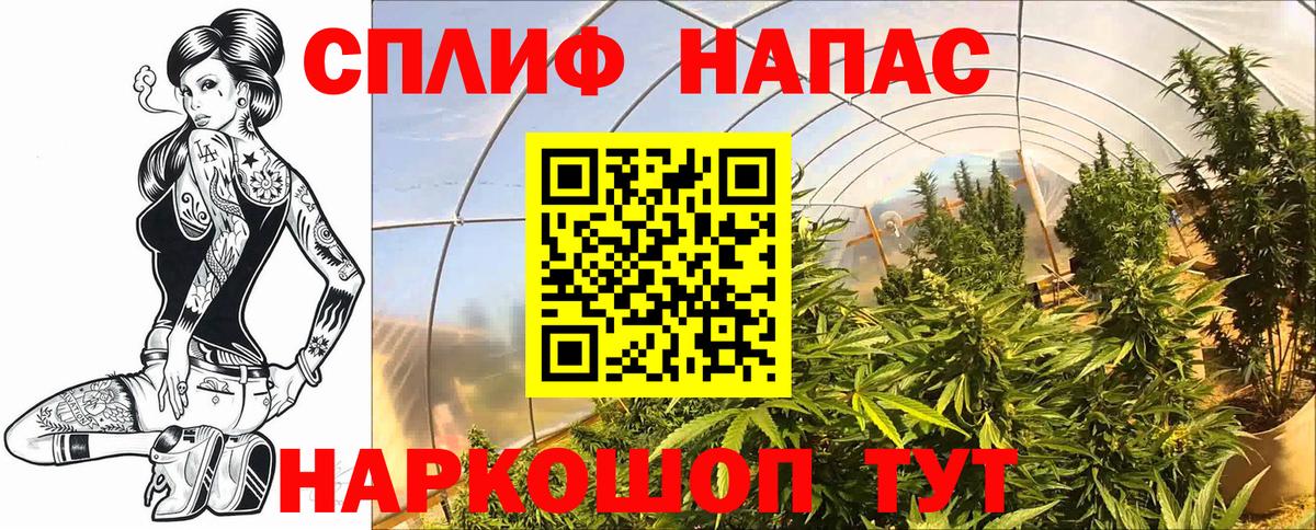 Бошки Шишки планчик  Каннабис Amnesia  Вход с VPN  Барнаул 